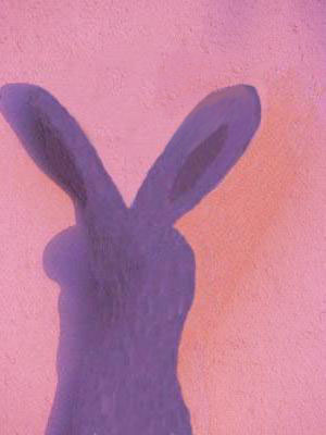 Rabbit hand-puppet shadow